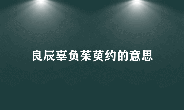 良辰辜负茱萸约的意思