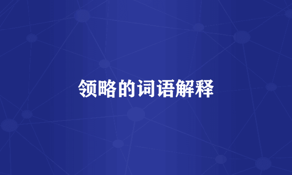 领略的词语解释