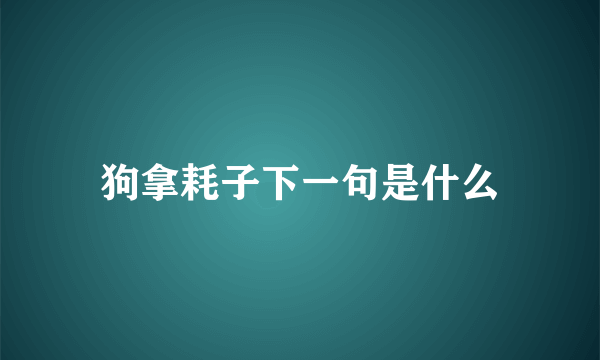 狗拿耗子下一句是什么