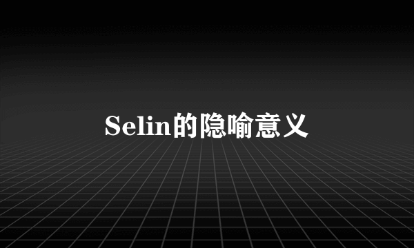 Selin的隐喻意义