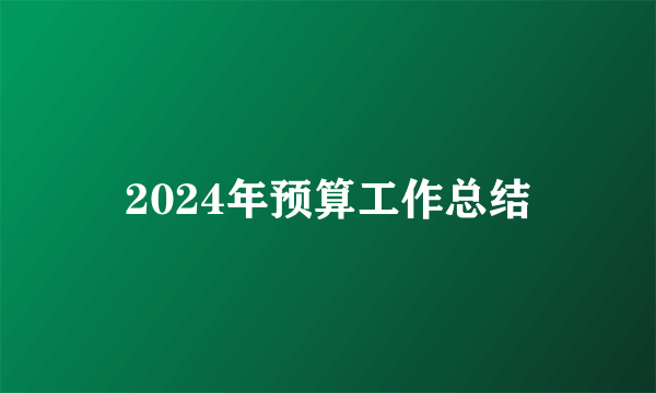 2024年预算工作总结