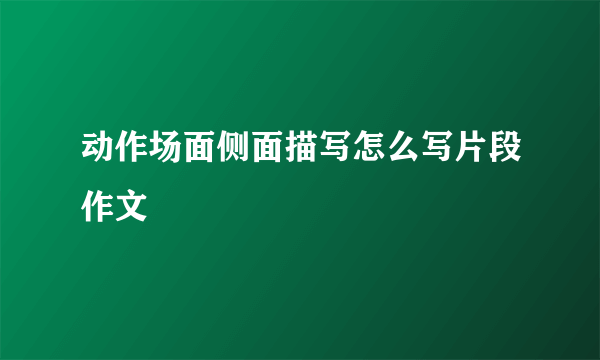 动作场面侧面描写怎么写片段作文