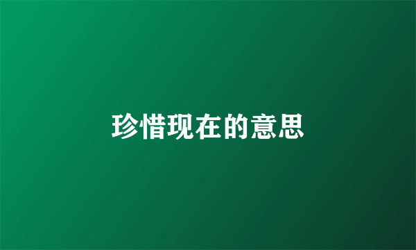 珍惜现在的意思