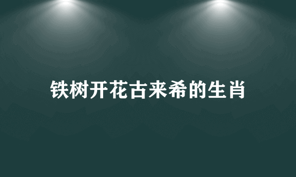铁树开花古来希的生肖