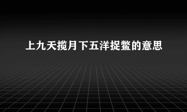 上九天揽月下五洋捉鳖的意思