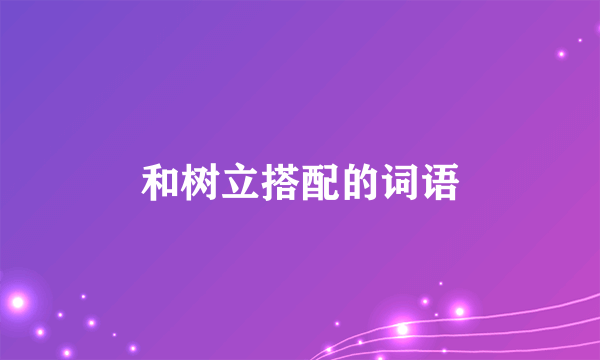 和树立搭配的词语