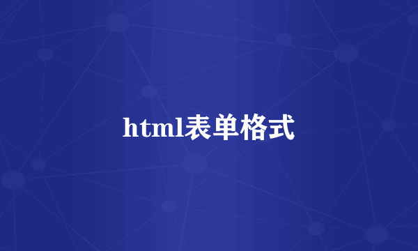 html表单格式