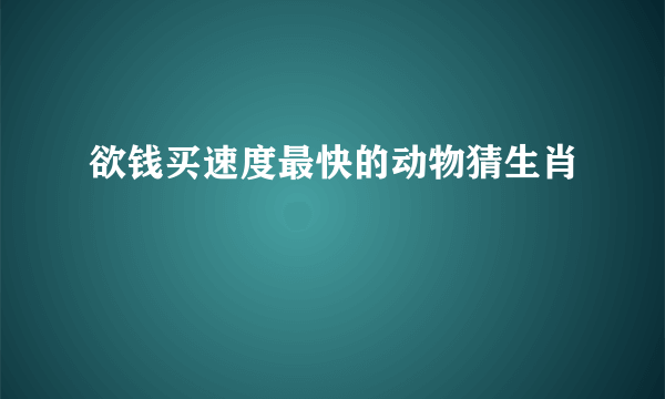 欲钱买速度最快的动物猜生肖