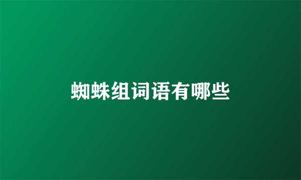 蜘蛛组词语有哪些
