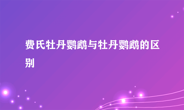 费氏牡丹鹦鹉与牡丹鹦鹉的区别