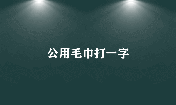 公用毛巾打一字