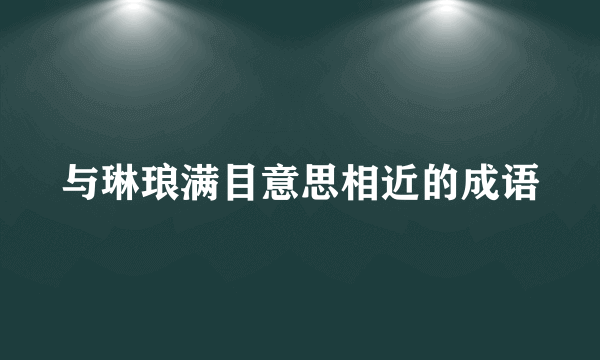 与琳琅满目意思相近的成语