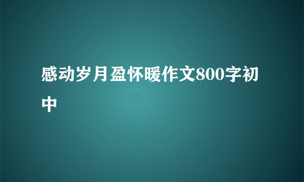 感动岁月盈怀暖作文800字初中