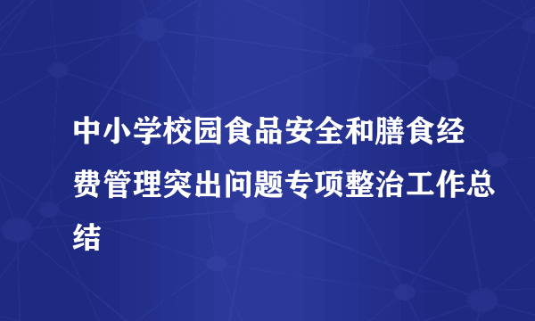 中小学校园食品安全和膳食经费管理突出问题专项整治工作总结