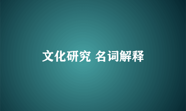 文化研究 名词解释