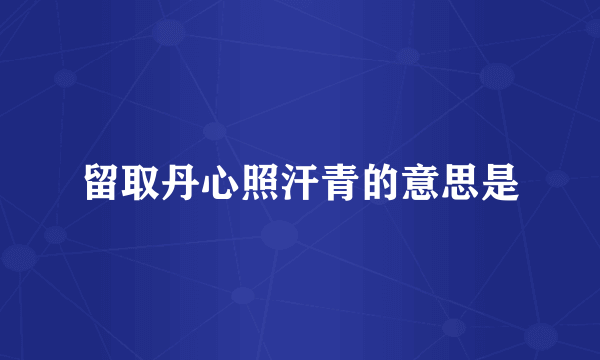留取丹心照汗青的意思是