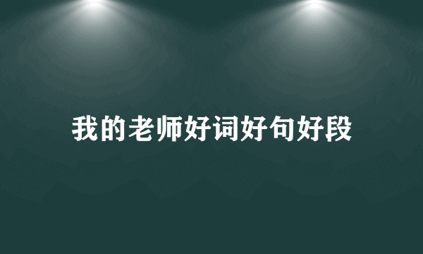 我的老师好词好句好段