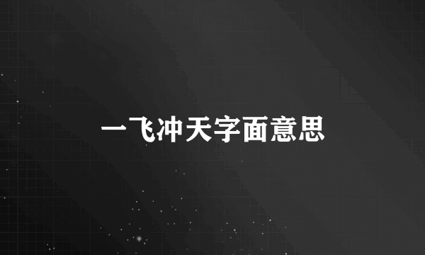 一飞冲天字面意思