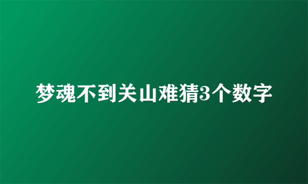 梦魂不到关山难猜3个数字