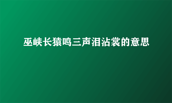 巫峡长猿鸣三声泪沾裳的意思