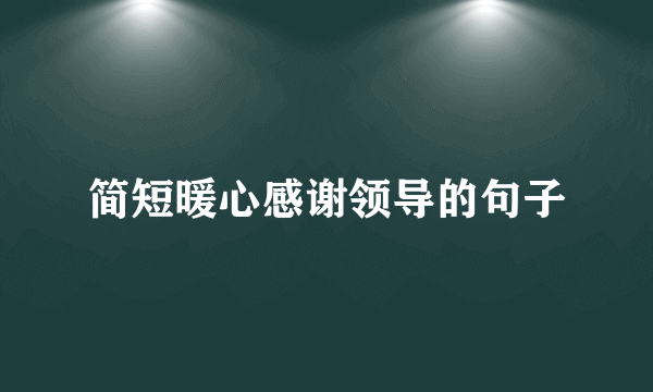 简短暖心感谢领导的句子
