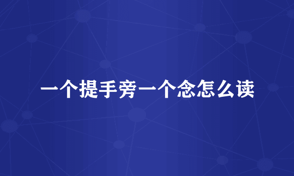 一个提手旁一个念怎么读