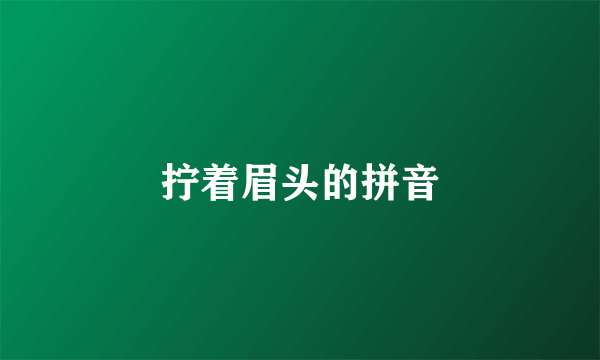 拧着眉头的拼音