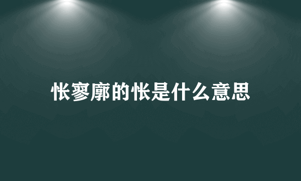 怅寥廓的怅是什么意思