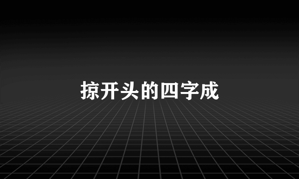 掠开头的四字成