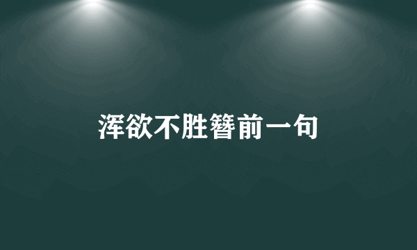 浑欲不胜簪前一句