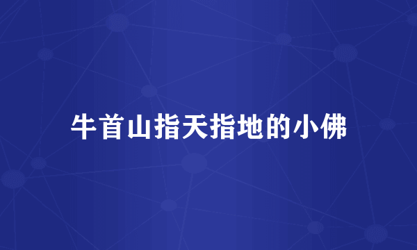 牛首山指天指地的小佛