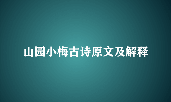 山园小梅古诗原文及解释