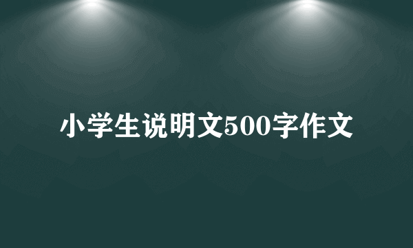 小学生说明文500字作文