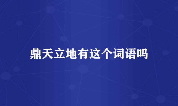 鼎天立地有这个词语吗