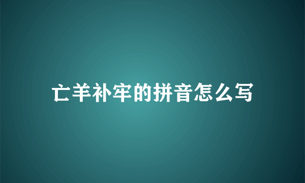 亡羊补牢的拼音怎么写
