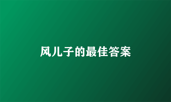 风儿子的最佳答案