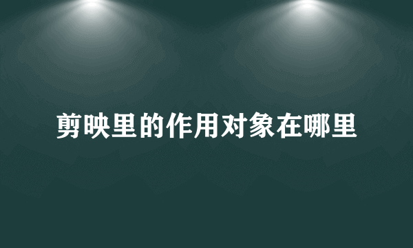 剪映里的作用对象在哪里