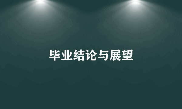 毕业结论与展望