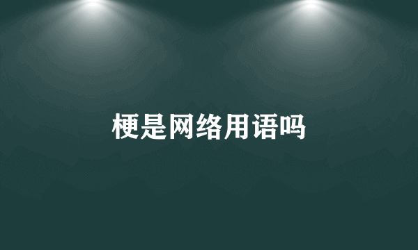 梗是网络用语吗