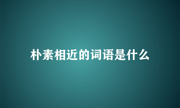 朴素相近的词语是什么