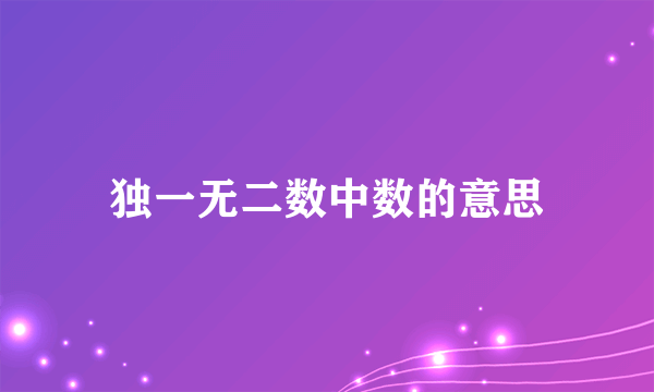 独一无二数中数的意思