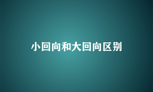 小回向和大回向区别