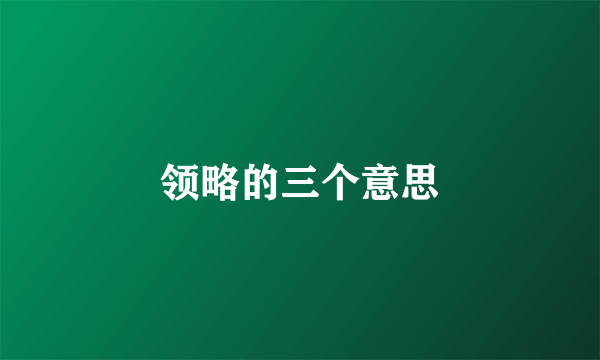 领略的三个意思