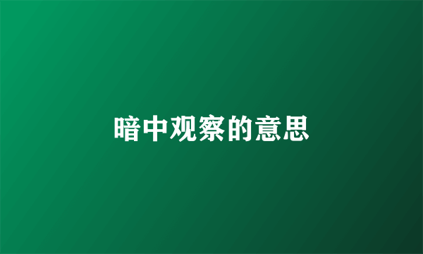 暗中观察的意思