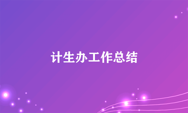 计生办工作总结