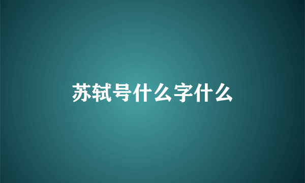 苏轼号什么字什么