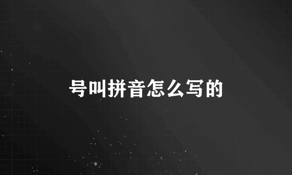 号叫拼音怎么写的