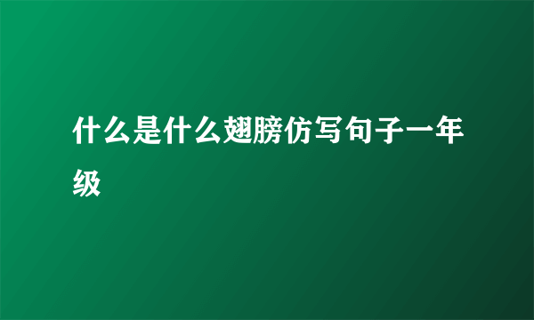 什么是什么翅膀仿写句子一年级