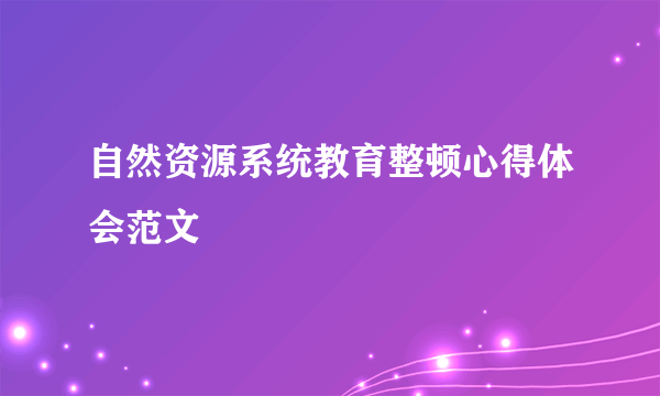 自然资源系统教育整顿心得体会范文