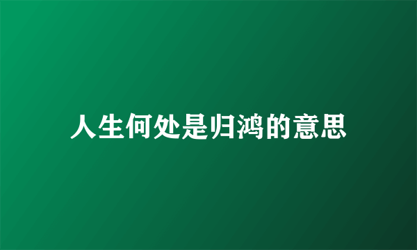 人生何处是归鸿的意思